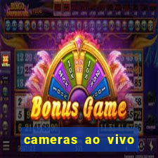 cameras ao vivo beto carrero